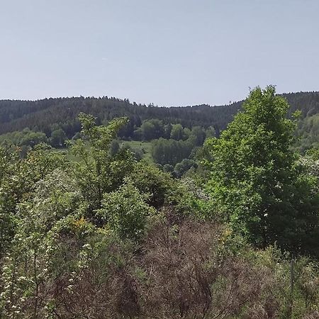 Sessles Waldhaeusschen Dietzhausen 苏尔 外观 照片