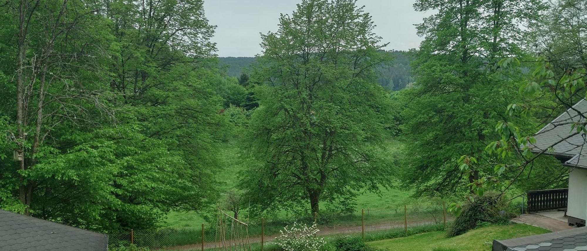 Sessles Waldhaeusschen Dietzhausen 苏尔 外观 照片