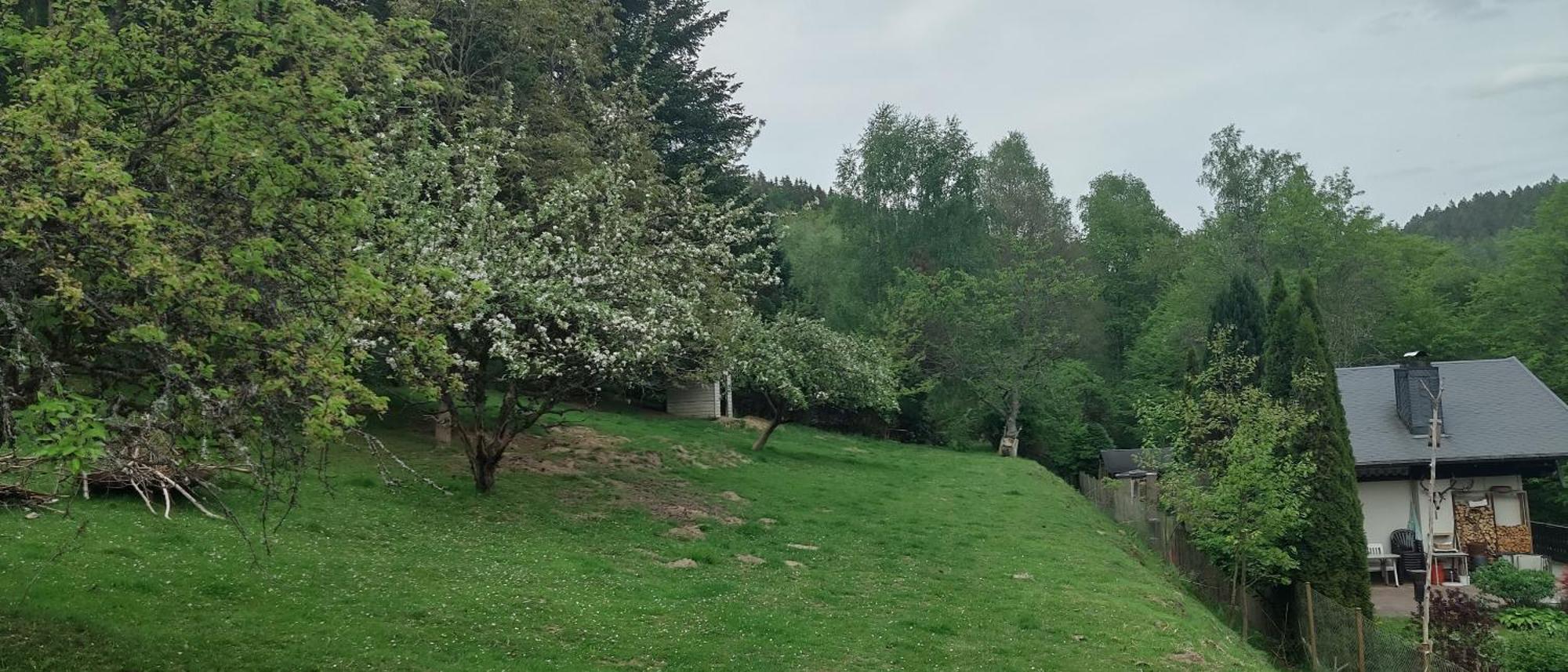 Sessles Waldhaeusschen Dietzhausen 苏尔 外观 照片